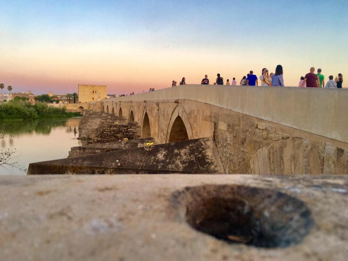 Ribera Del Quivir Daire Córdoba Dış mekan fotoğraf