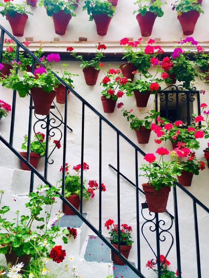 Ribera Del Quivir Daire Córdoba Dış mekan fotoğraf